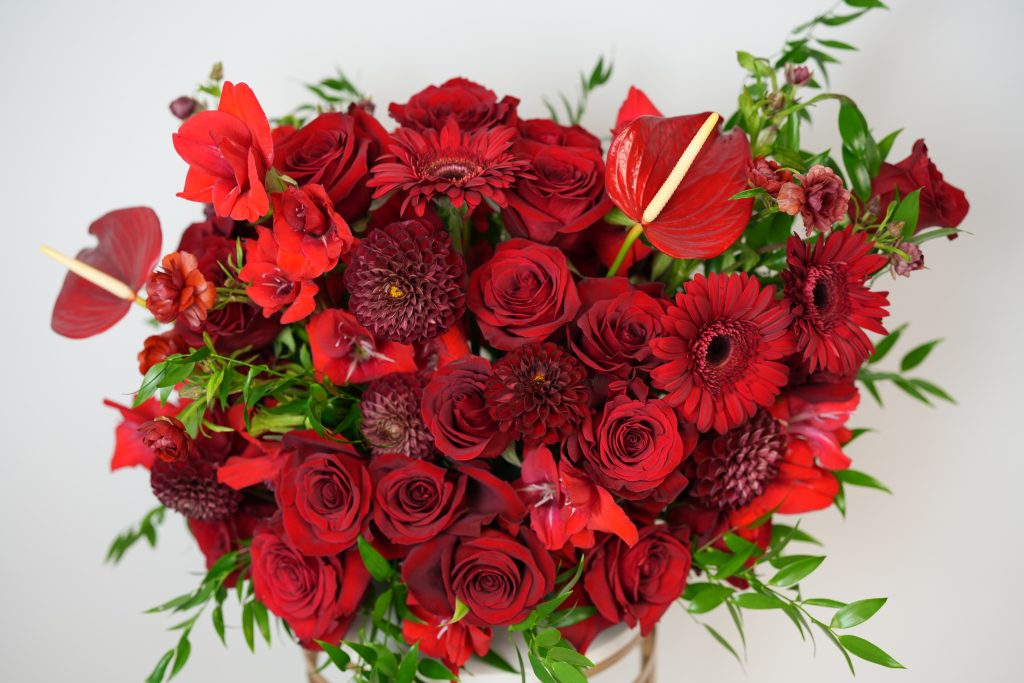 Rose Flowers