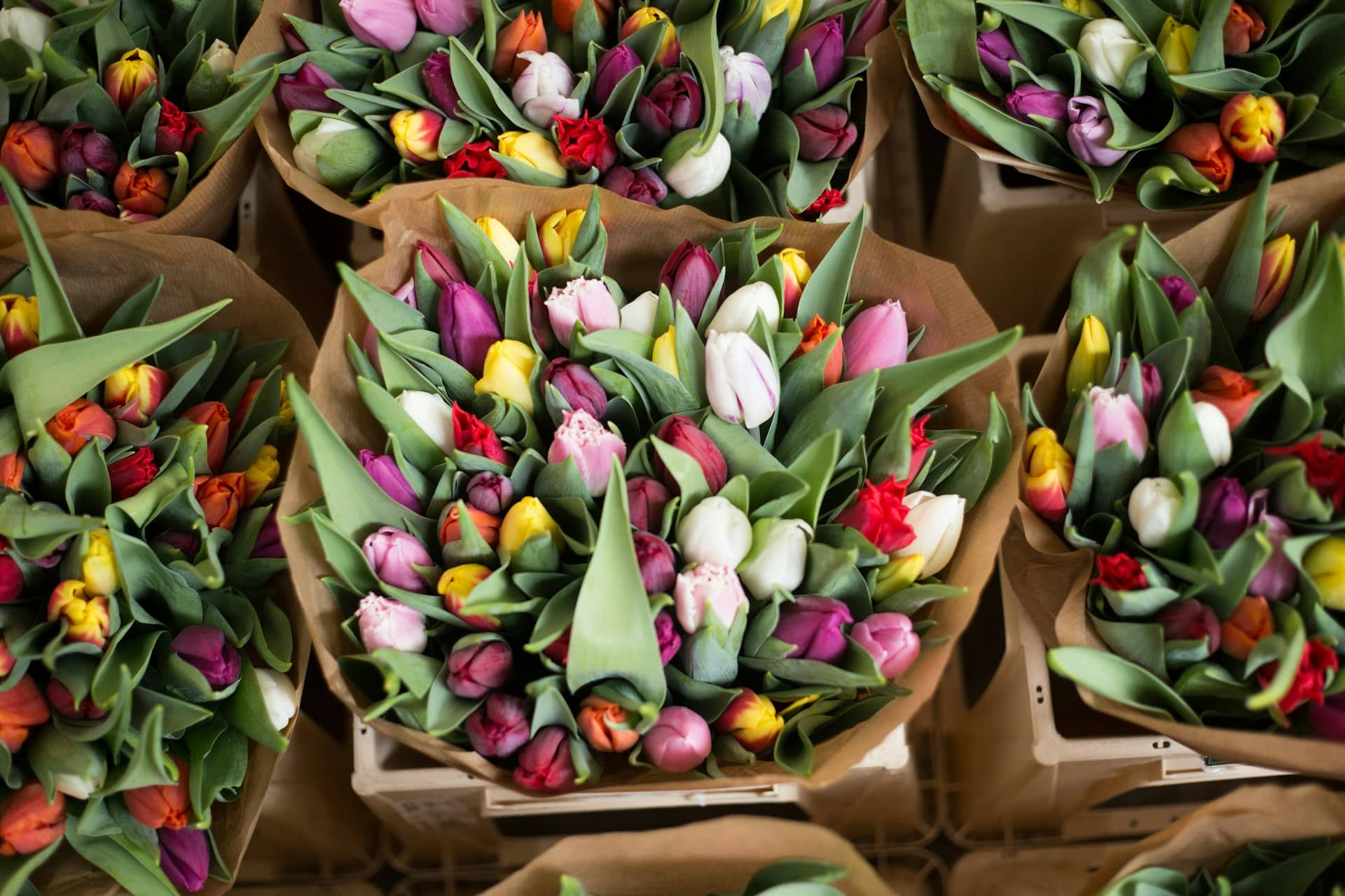Best Local Flower Shops