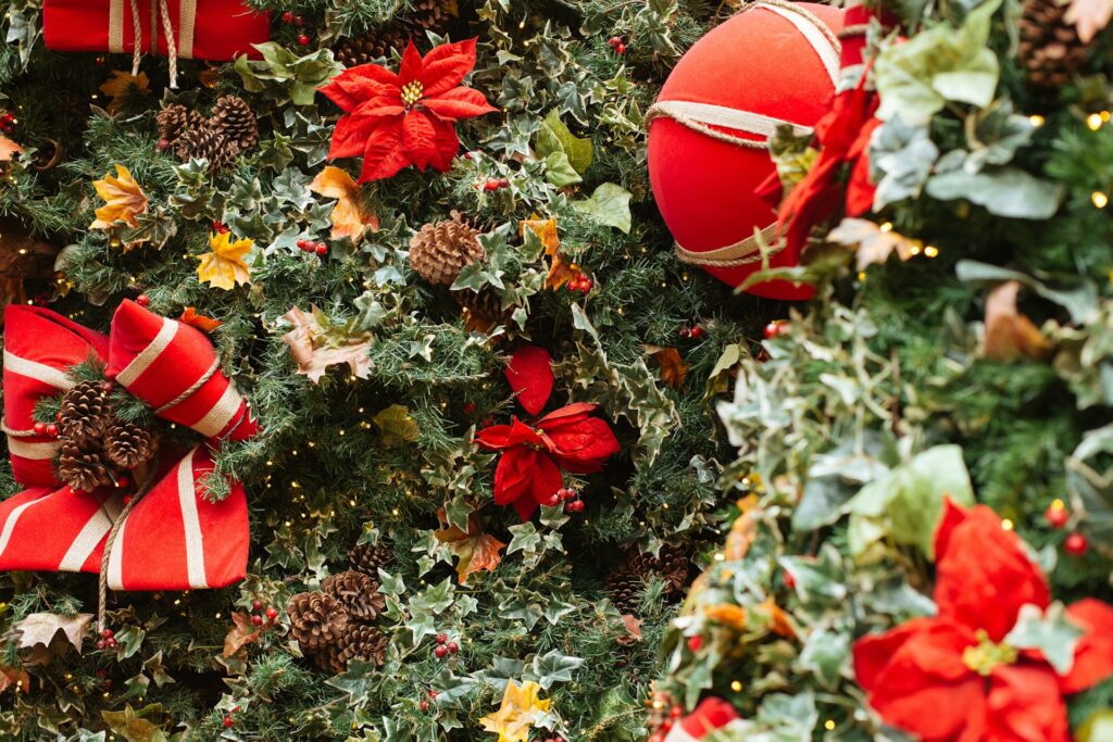 Christmas Flower 2026