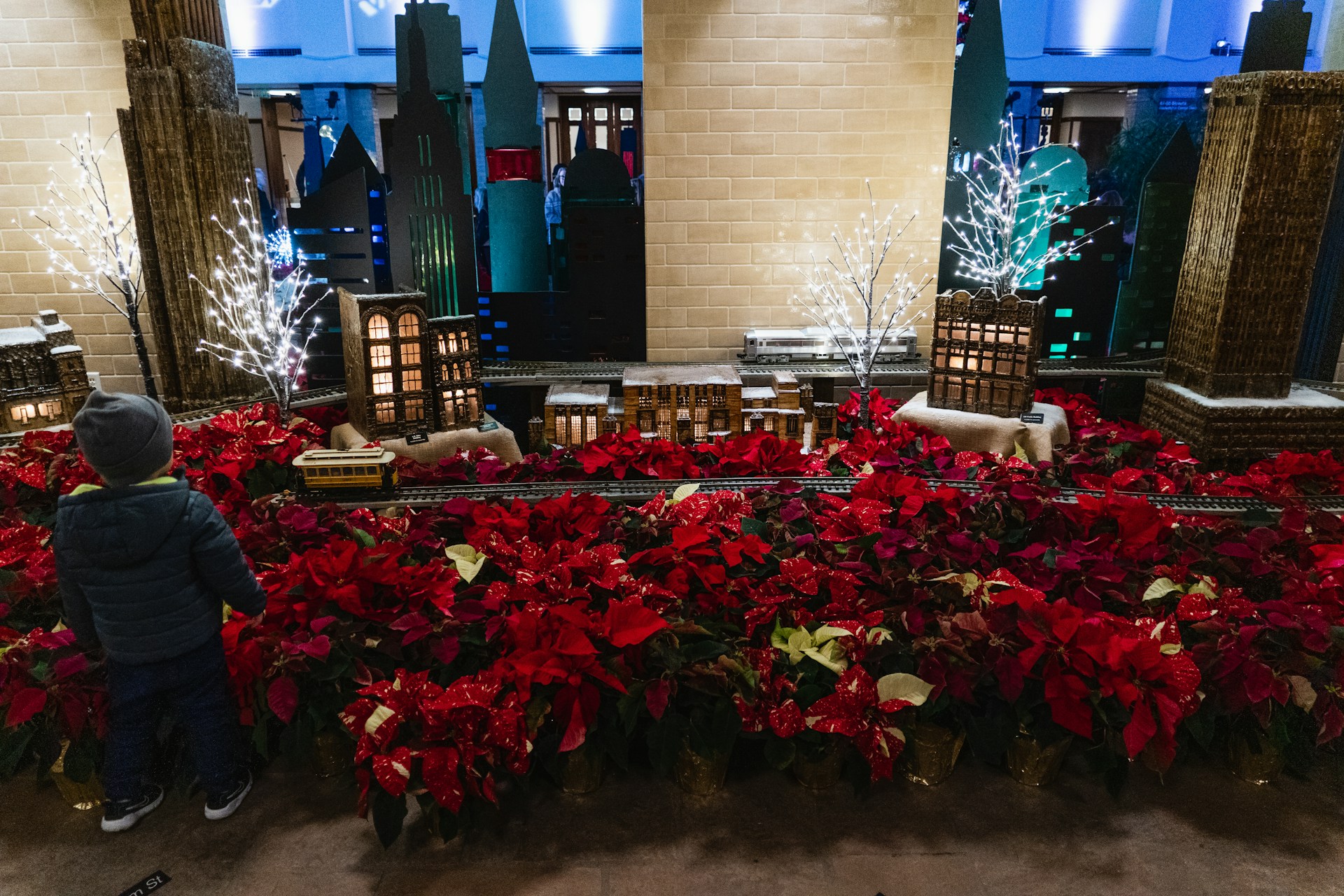 christmas flowers 2026