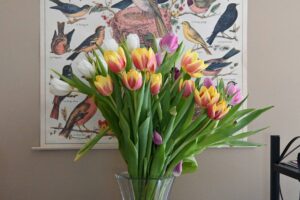 Tulip & Peony Bouquets Flor Amor