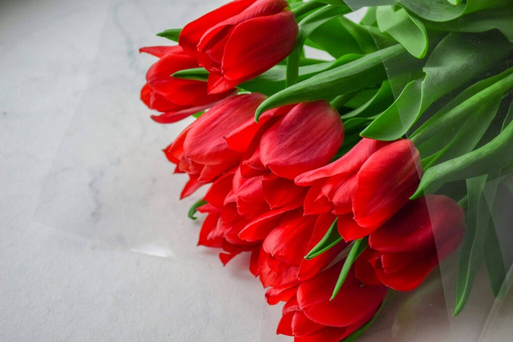 Tulip vs Rose Bouquets 1