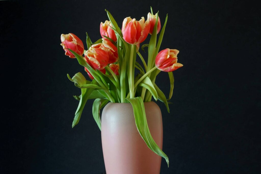 Why Tulip & Peony Bouquets Are Winter Favorites