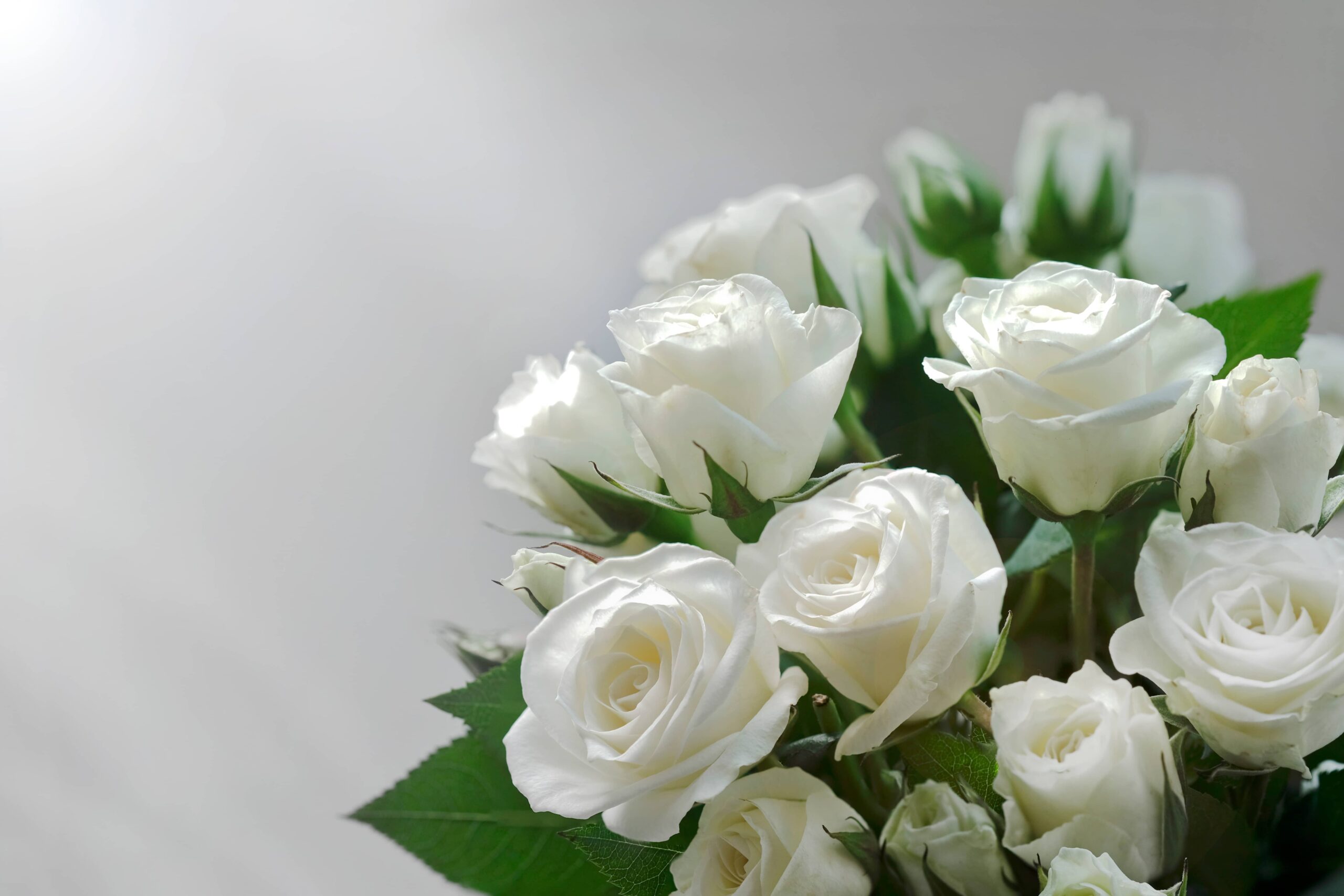white rose bouquet