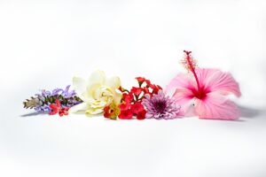 Spring Floral Trends 2026