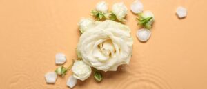 Romantic white rose with soft petals and water droplets, surrounded by small buds and scattered petals on a warm peach background