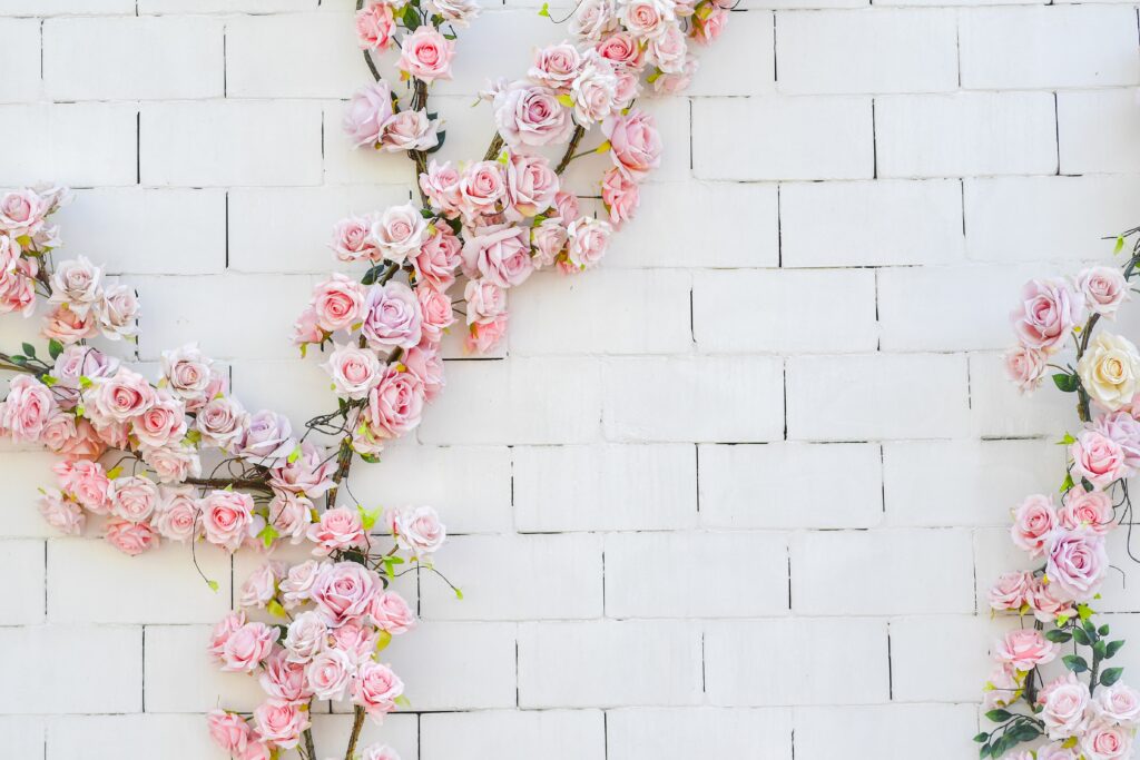 Soft pink roses arranged on a white brick wall creating a romantic floral background