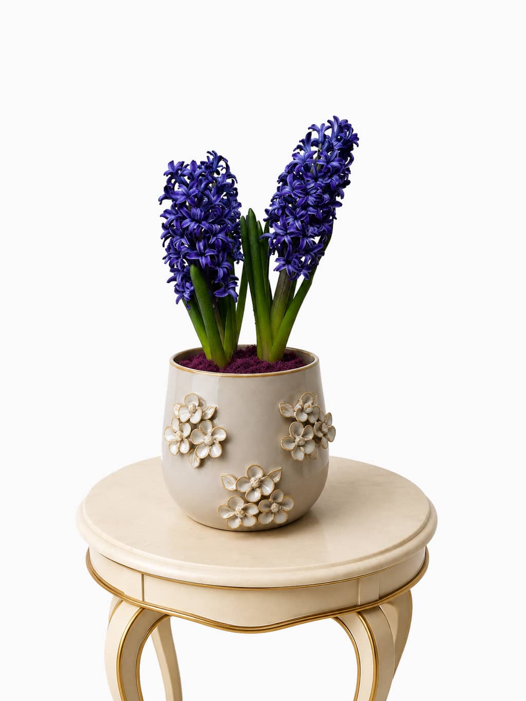 Hyacinth-Potted-Ceramic-Pot-with-Purple-Moss-5