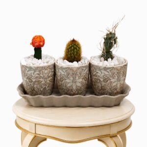Mini cactus trio ceramic style pot