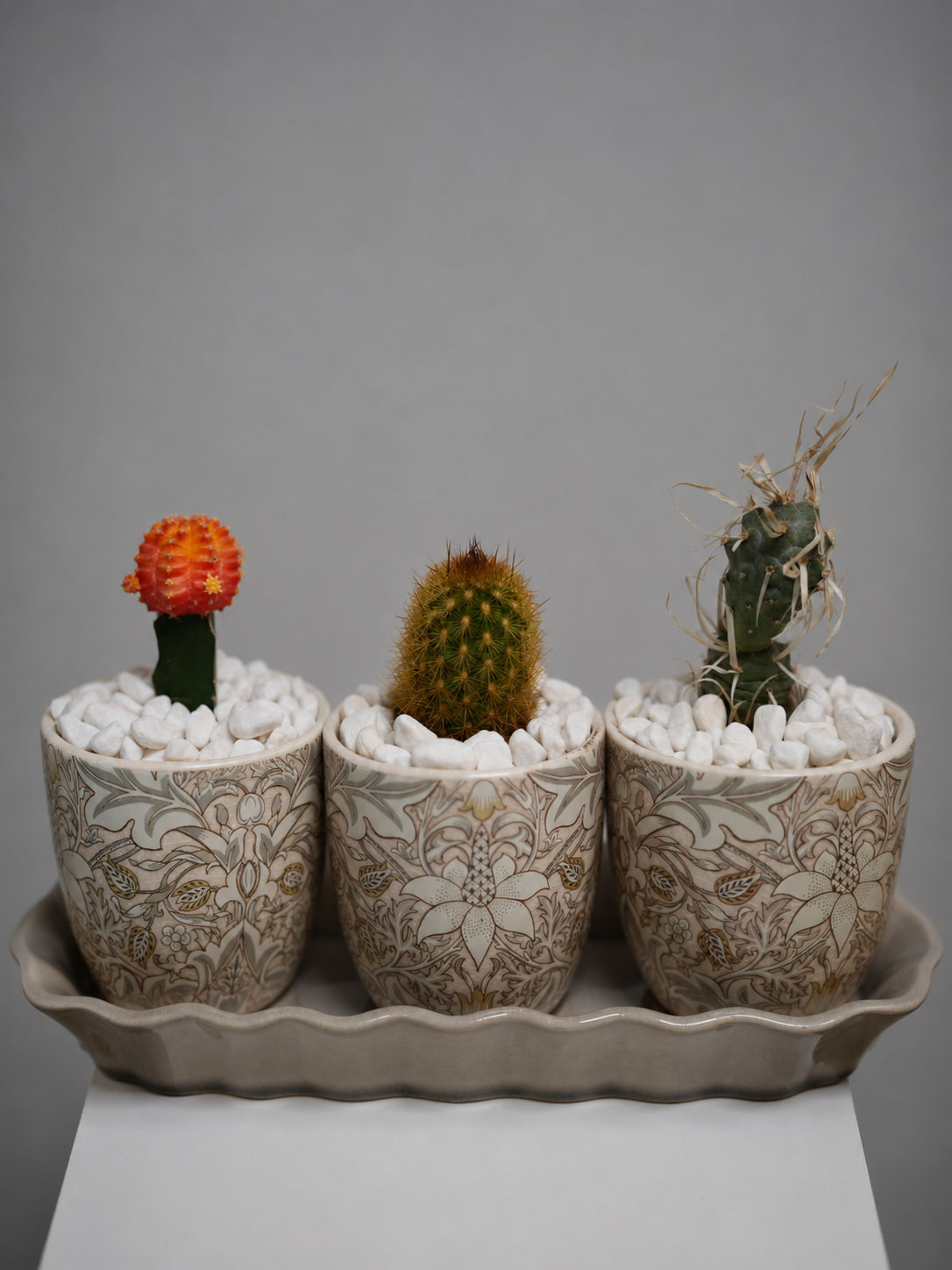 Mini-cactus-trio-ceramic-style-pot