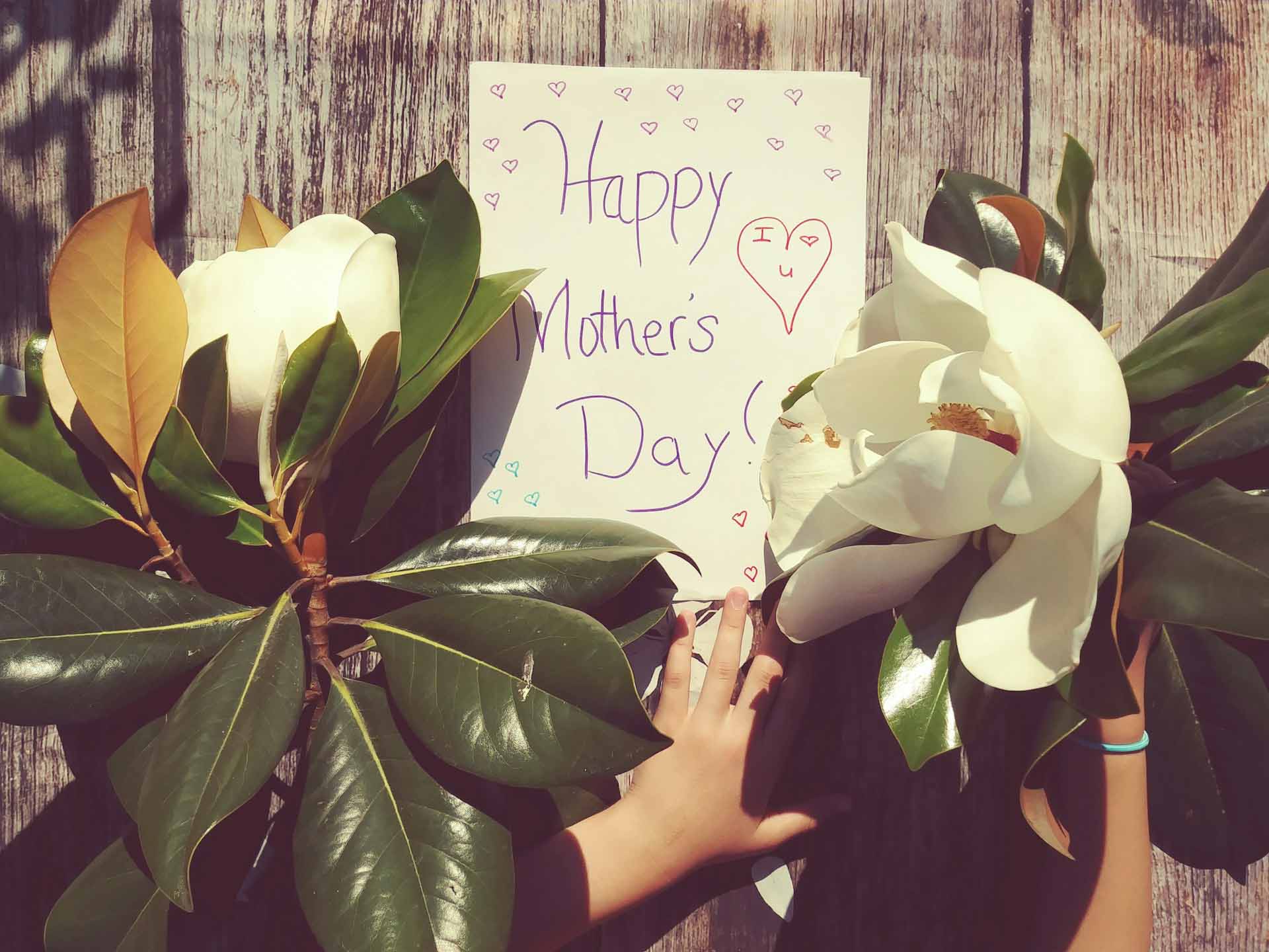 Mother's Day Flowers Orange County