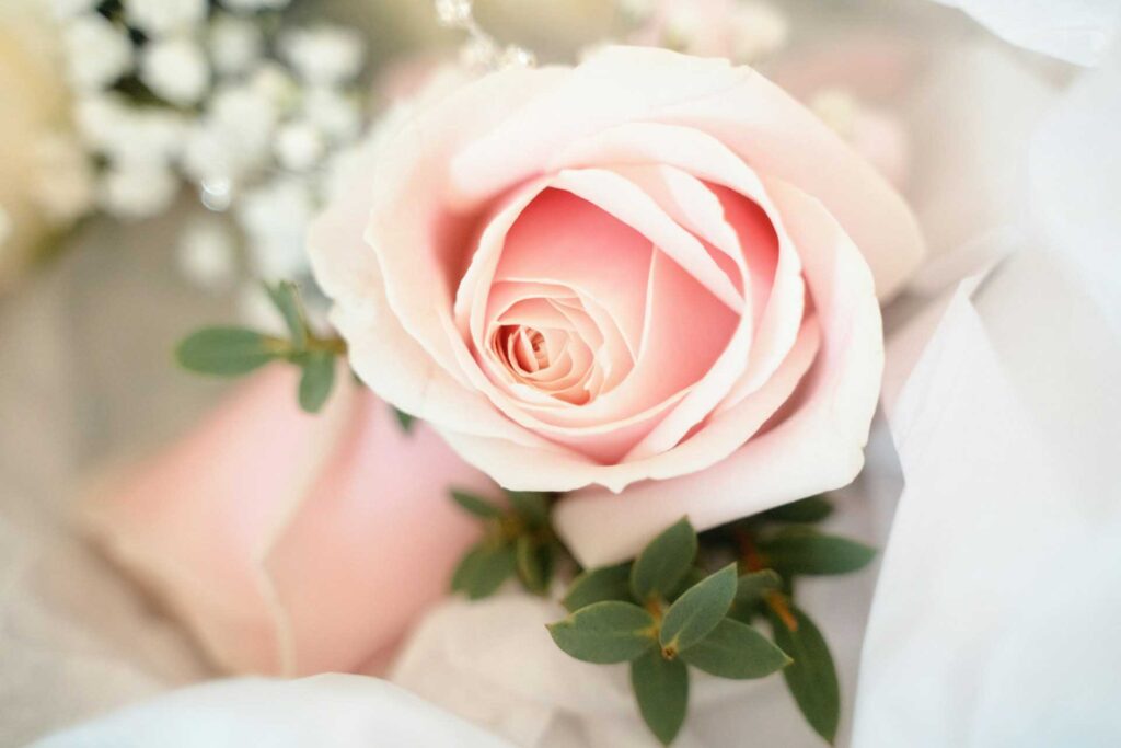 The Ultimate Guide to Wedding Roses