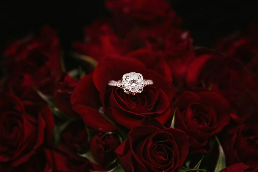 Wedding Roses