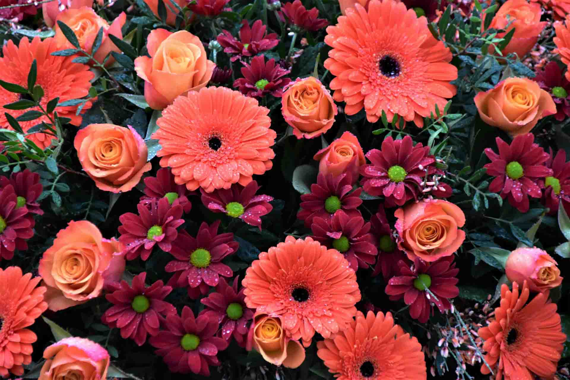 best birthday flowers guide 2026