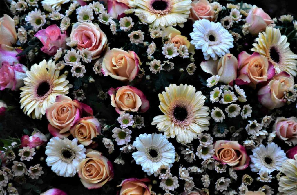best birthday flowers to gift in 2026